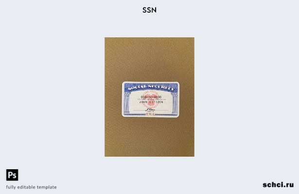 цифровая загрузка USA SSN фотоальбом темно бежевый текстильный фон шаблон ПЕРЕДН